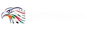 BDITDOMAIN Services